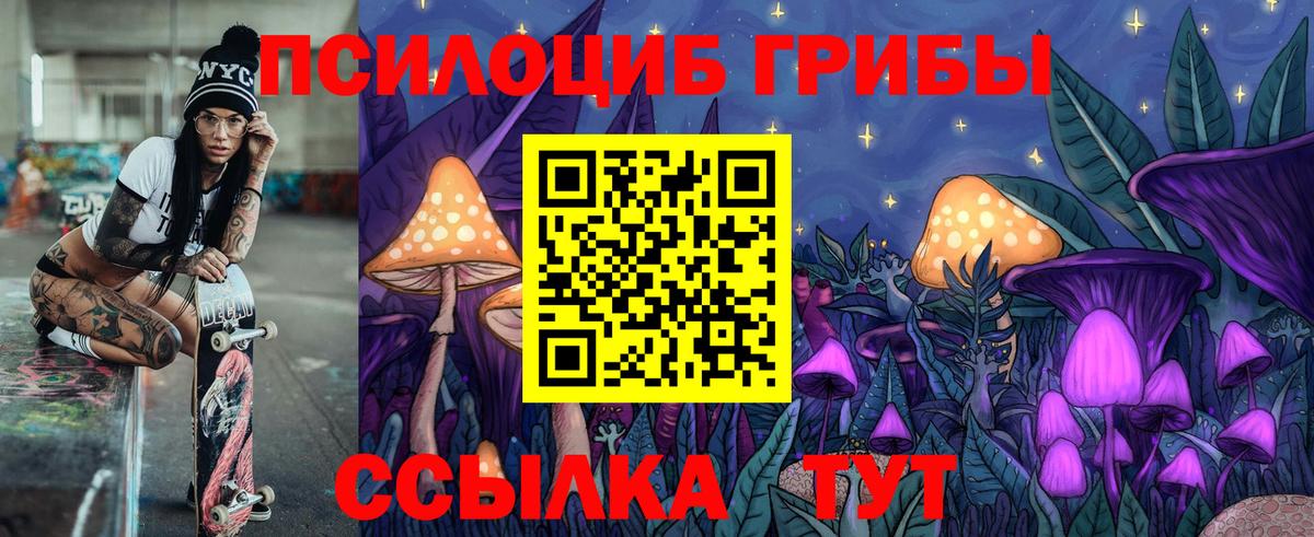 Псилоцибиновые грибы Psilocybe Малоярославец