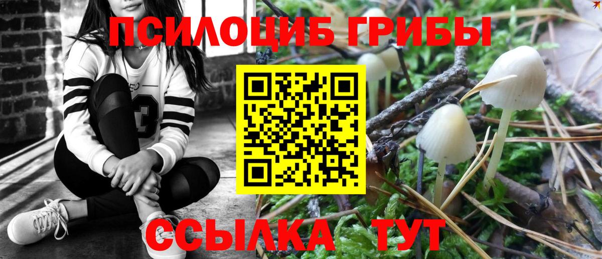 Малоярославец  Галлюциногенные грибы Psilocybine cubensis  Вход с VPN 